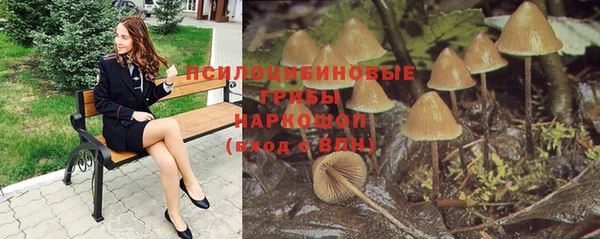 ECSTASY Горнозаводск