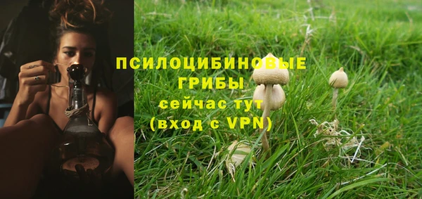 гидра Горно-Алтайск