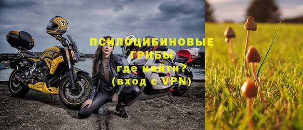 ECSTASY Горнозаводск
