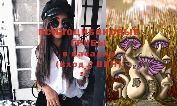 гидра Горно-Алтайск