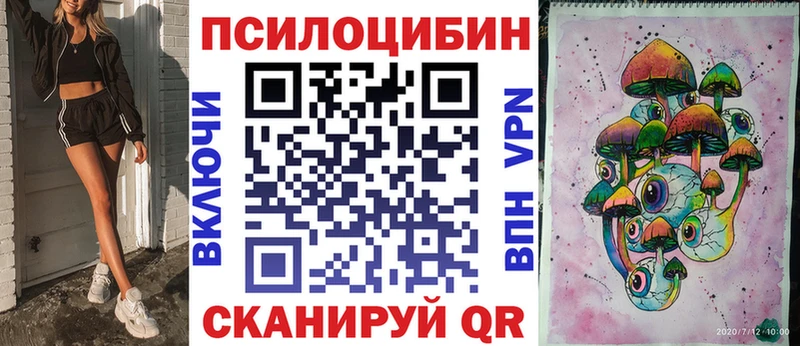 Купить  Кудрово  Псилоцибиновые грибы прущие грибы 